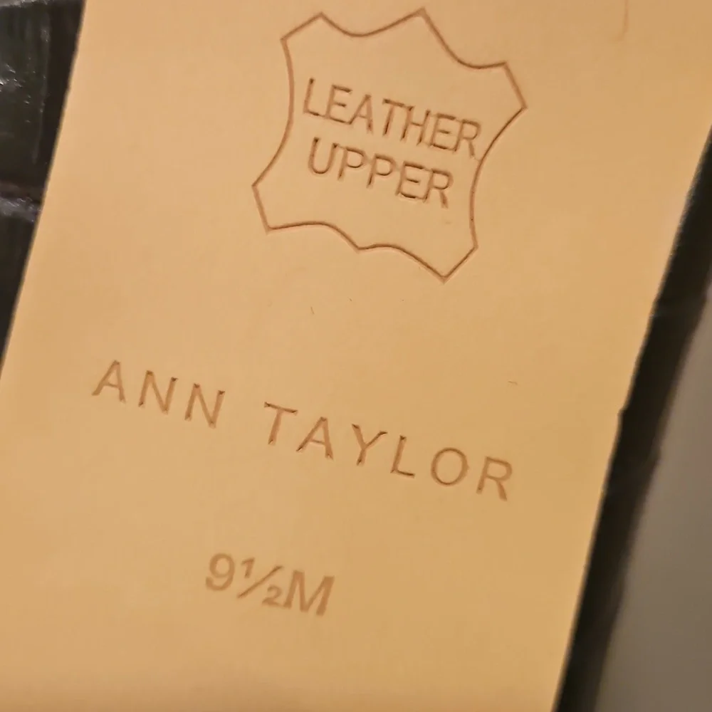 Ann Taylor nwot display